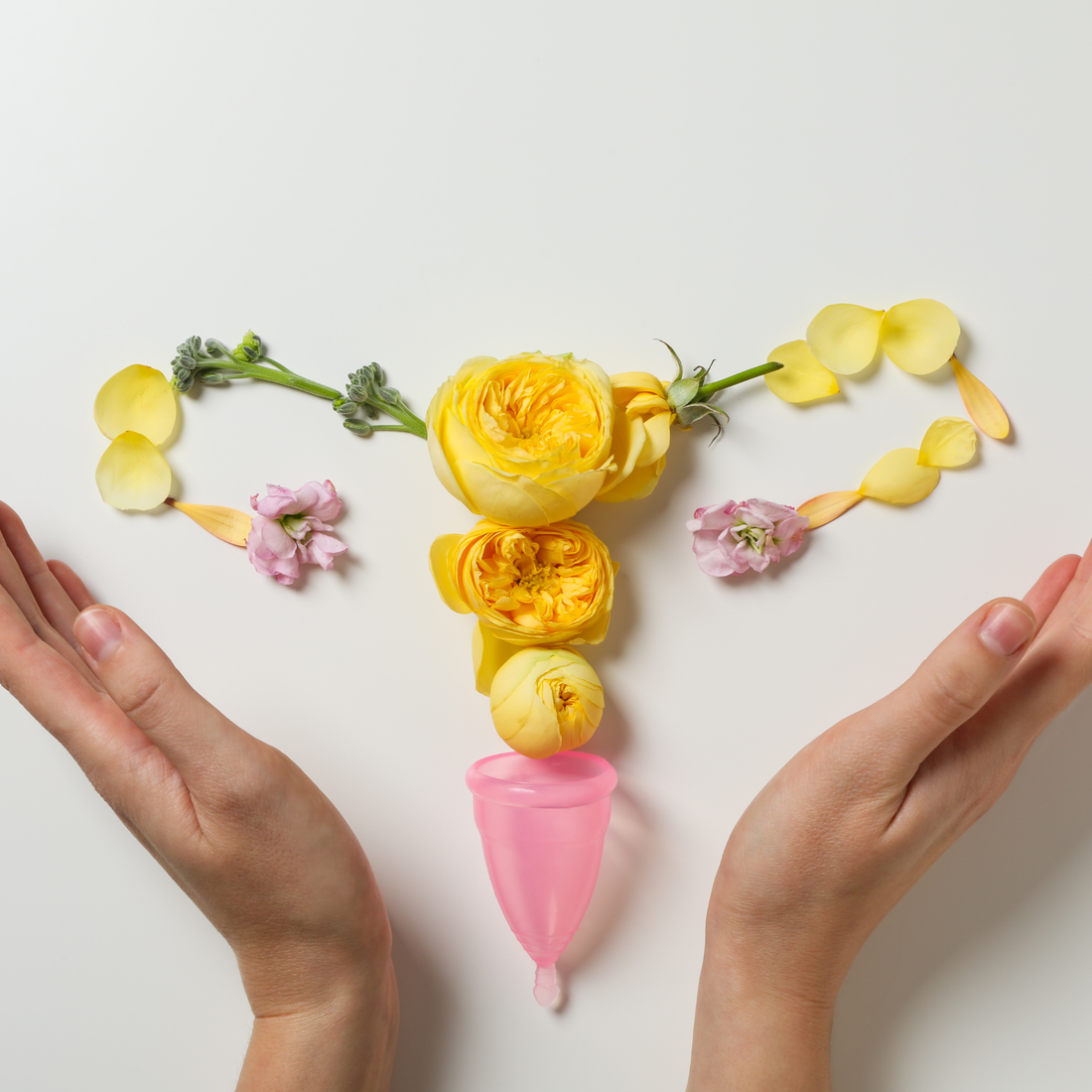 A Field Guide to Inositol for Women's Cycle Health
